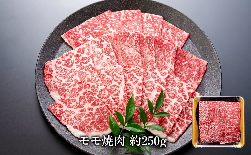 博多和牛の部位別焼肉食べ比べセット 450g（モモ焼肉250g＋ザブトン（肩ロース）焼肉200g）