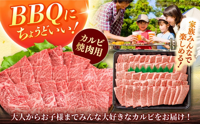 牛肉 焼肉 しまね和牛 和牛 国産 スライス 黒毛和牛 BBQ ギフト ご褒美