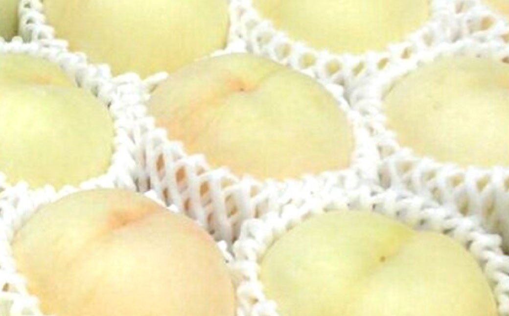 岡山県産冬桃がたり3個入り