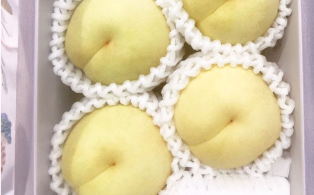 岡山県産冬桃がたり3個入り