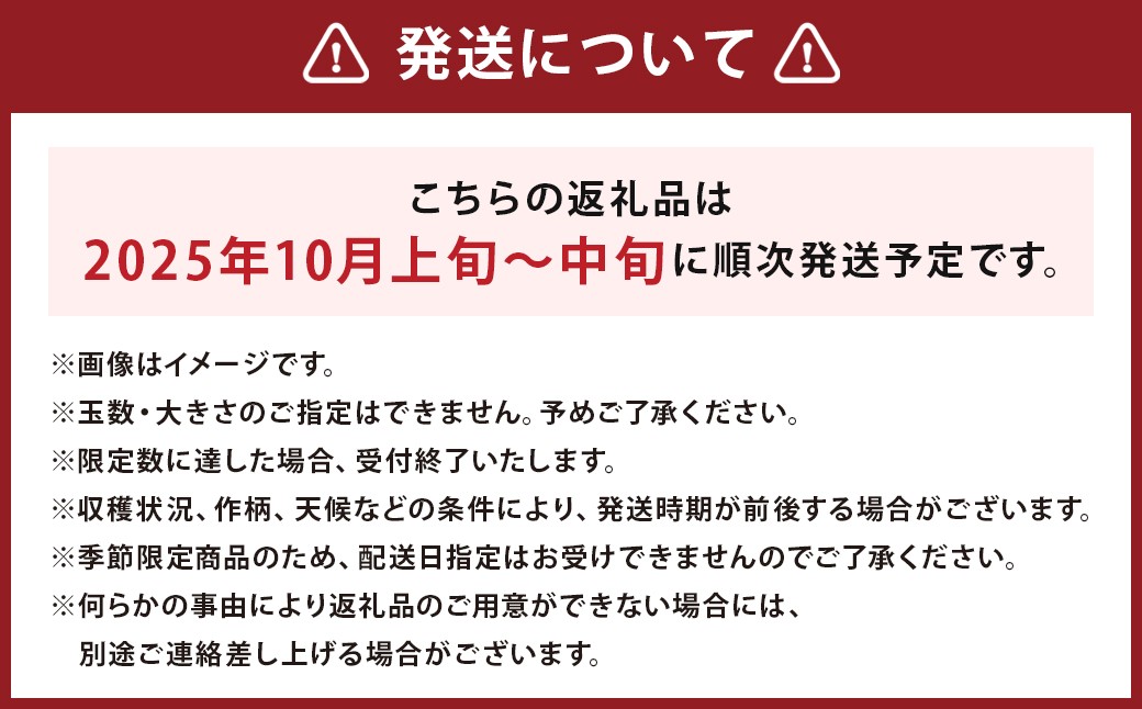 二戸産りんご 紅いわて 約10kg