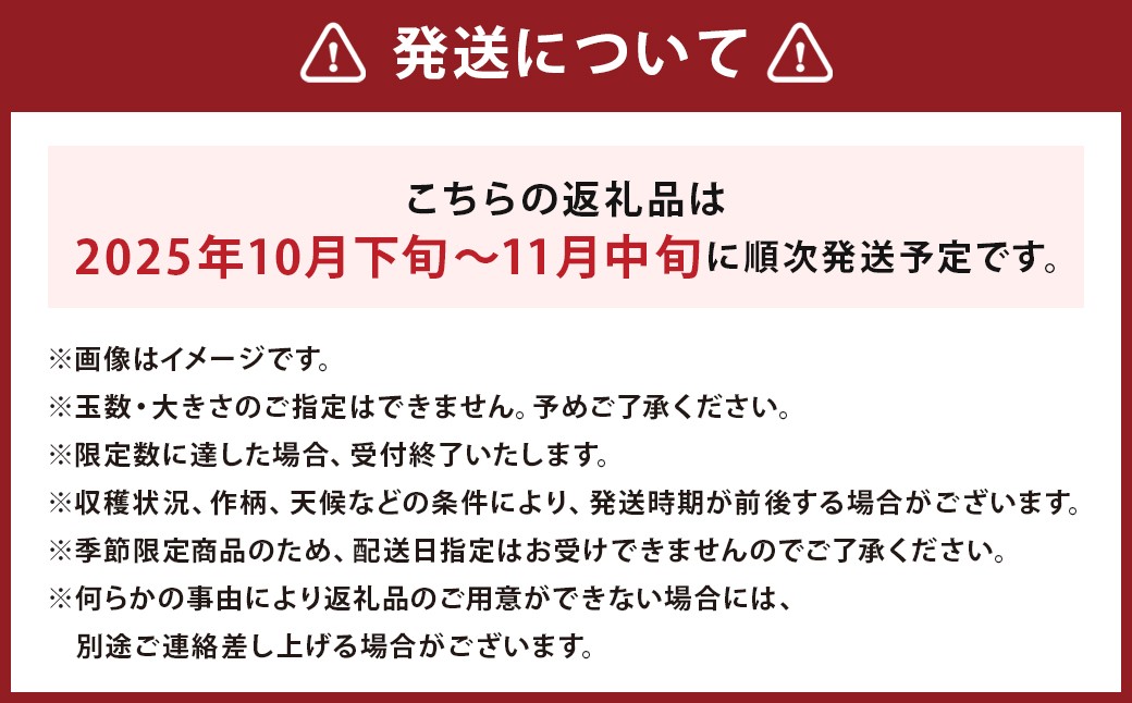 二戸産りんご ぐんま名月 約3kg