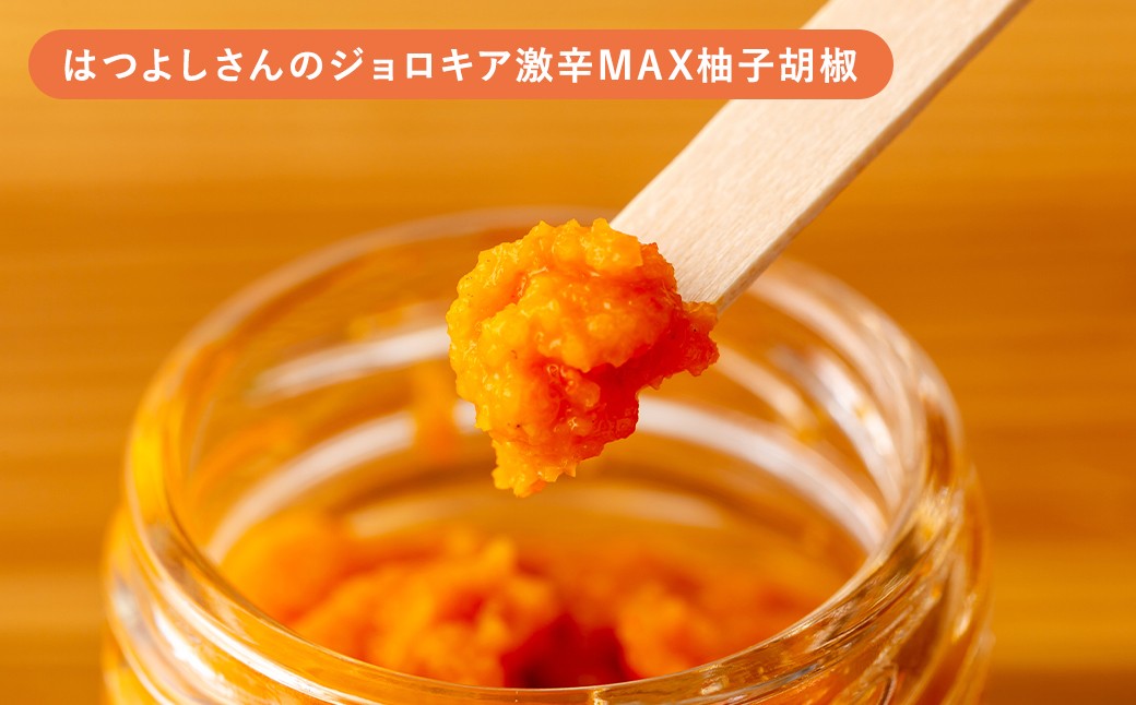 人吉球磨の達人のゆず胡椒 各1本（25g）×5種セット