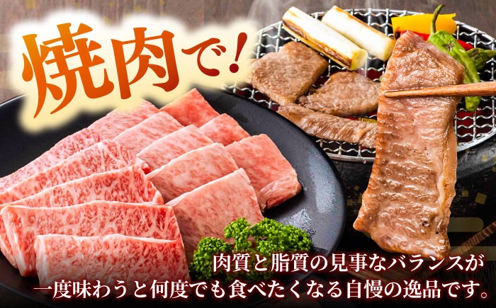 牛肉 焼肉 しまね和牛 和牛 国産 スライス 黒毛和牛 BBQ ギフト ご褒美