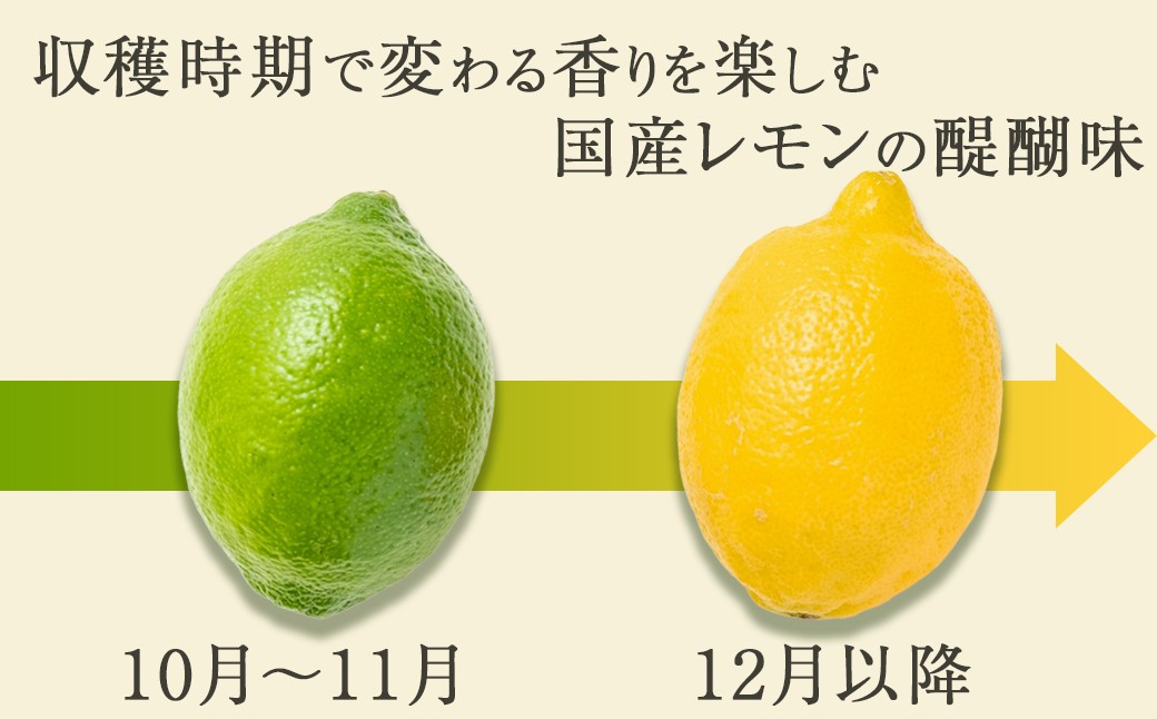 収穫時期で変わる香りを楽しむ。国産レモンの醍醐味。