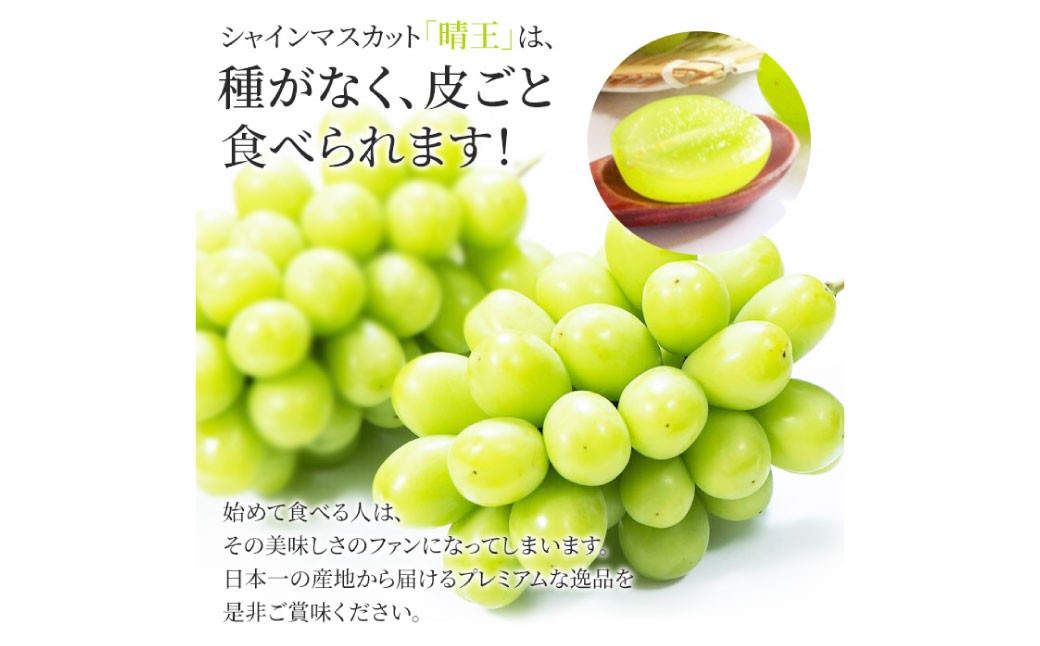 シャインマスカット 晴王 2房入り（合計約1kg）