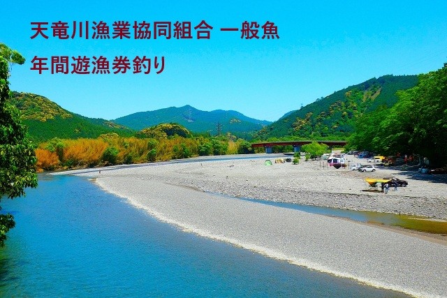 魚体の美しさや大きさは全国有数!