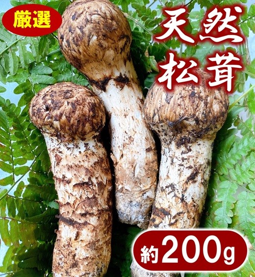 画像はイメージです。