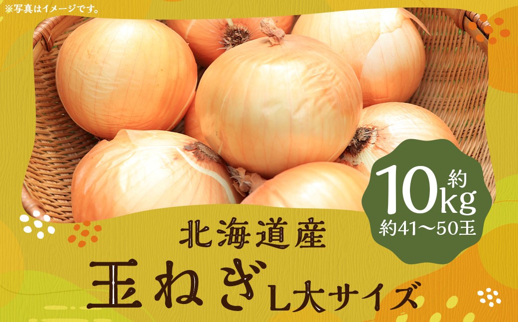 玉ねぎ L大サイズ 約10kg×1箱（JA）