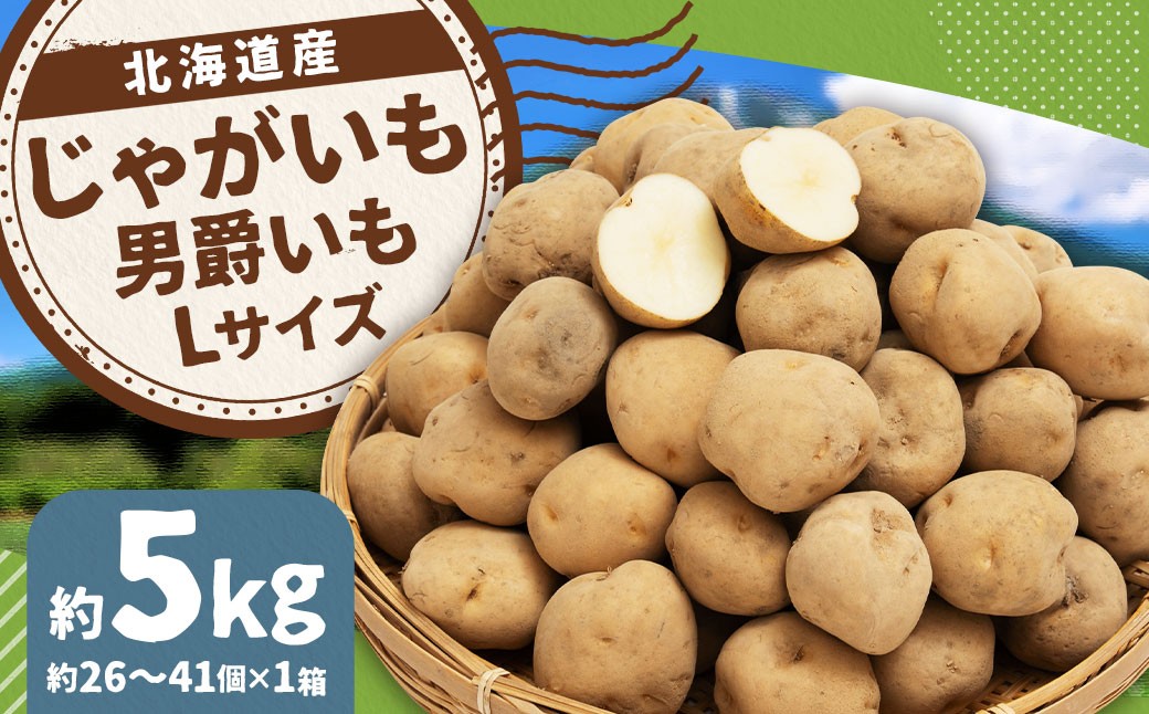 じゃがいも（男爵） Lサイズ 約5kg×1箱 約5kg（JA）