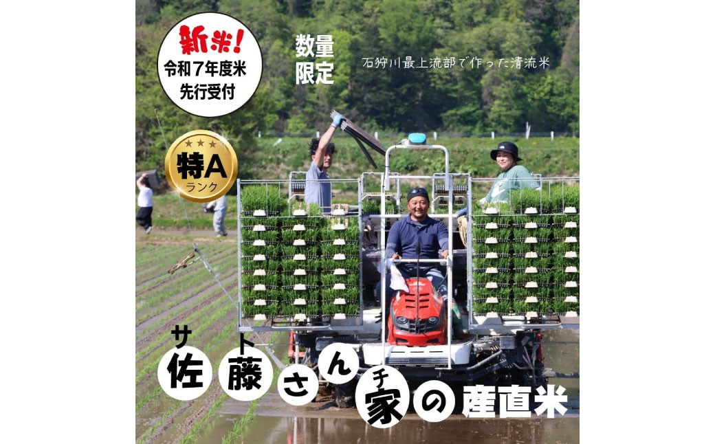 令和7年度産 ゆめぴりか 10kg