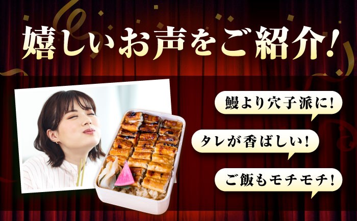 あなごめし (冷凍)2個セット