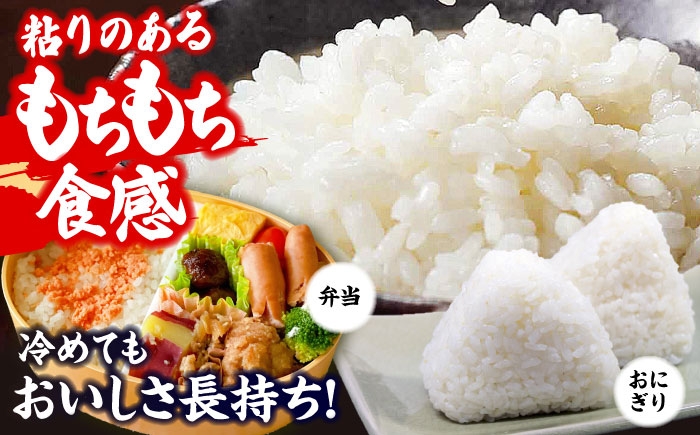 おいしい 新米 米 お米 ご飯 白米 精米 おにぎり コシヒカリ こしひかり 5kg 5キロ 国産 広島 三次