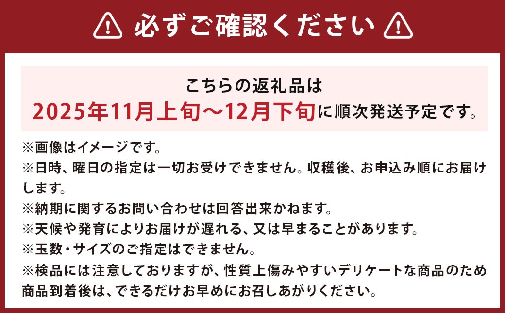 玉ねぎ L大サイズ 約10kg×1箱（JA）