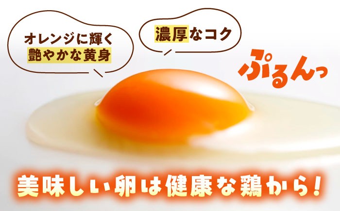 天心山 たまご 卵 高級 食品 たまごかけご飯 卵かけご飯 卵焼き 生卵 