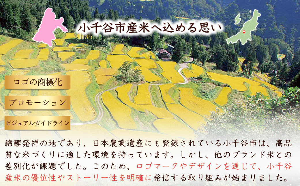 小千谷市が認証するブランド米「錦の実り」のAランク米をお届け