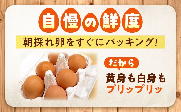 天心山 たまご 卵 高級 食品 たまごかけご飯 卵かけご飯 卵焼き 生卵