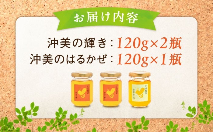 【全3回定期便】江田島産100％ はちみつ 2種食べ比べセット（120g×3本） ハチミツ 蜂蜜 国産 広島 江田島