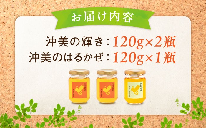 【全12回定期便】江田島産100％ はちみつ 2種食べ比べセット（120g×3本） ハチミツ 蜂蜜 国産 広島 江田島