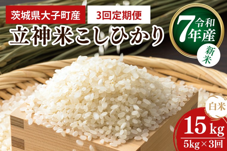 【特別栽培米】立神米こしひかり(白米)定期便 5kg 3回