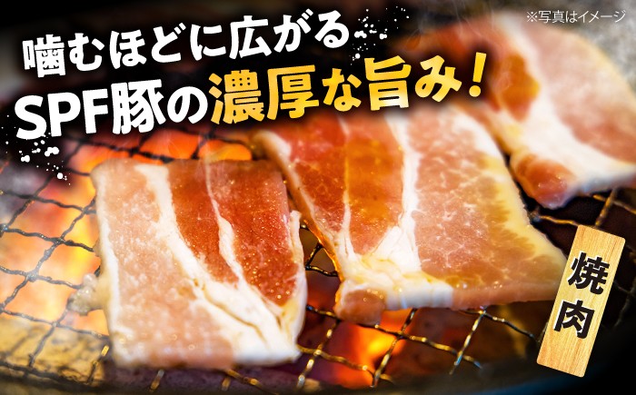 国産 SPF豚 焼肉 しゃぶしゃぶ スライス