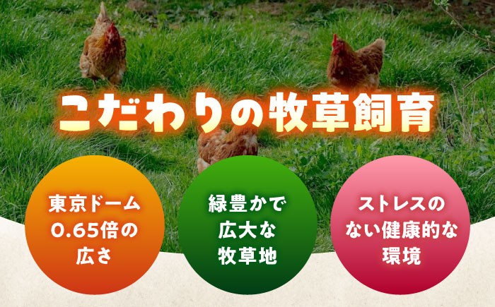 天心山 たまご 卵 高級 食品 たまごかけご飯 卵かけご飯 卵焼き 生卵