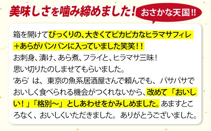 ヒラス（ヒラマサ） 下処理済 アラ付き 刺身ブロック（800g以上） / 真空パック 養殖 海産物 魚介 冷蔵 新上五島