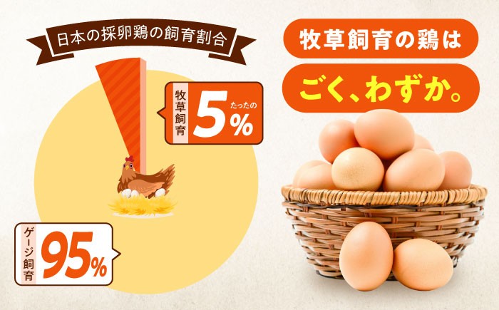 天心山 たまご 卵 高級 食品 たまごかけご飯 卵かけご飯 卵焼き 生卵
