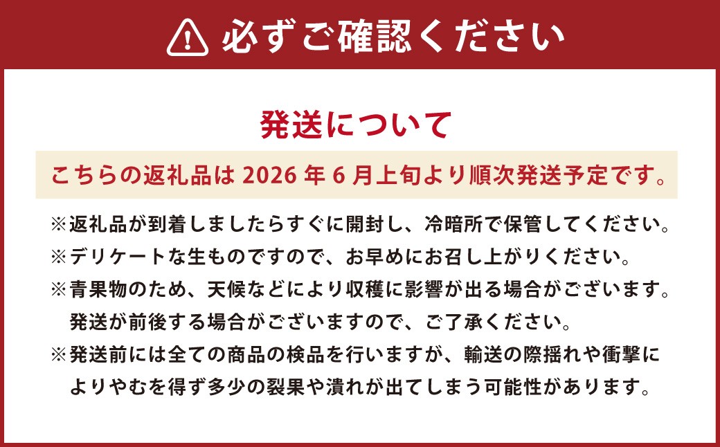 熊本県産 肥後グリーンメロン 2玉