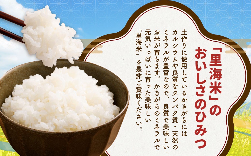 令和7年産 里海米（キヌムスメ） 10kg