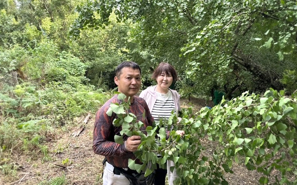 【冷凍】 北九州河内の銀杏 500g