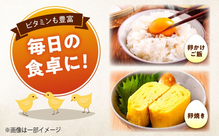 天心山 たまご 卵 高級 食品 たまごかけご飯 卵かけご飯 卵焼き 生卵