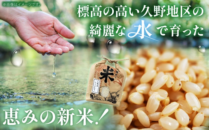 令和8年産 10kg 米 コメ 玄米 数量限定 期間限定 先行予約 コシヒカリ ブランド米 人気