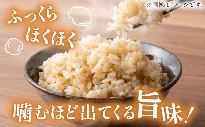 令和8年産 10kg 米 コメ 玄米 数量限定 期間限定 先行予約 コシヒカリ ブランド米 人気