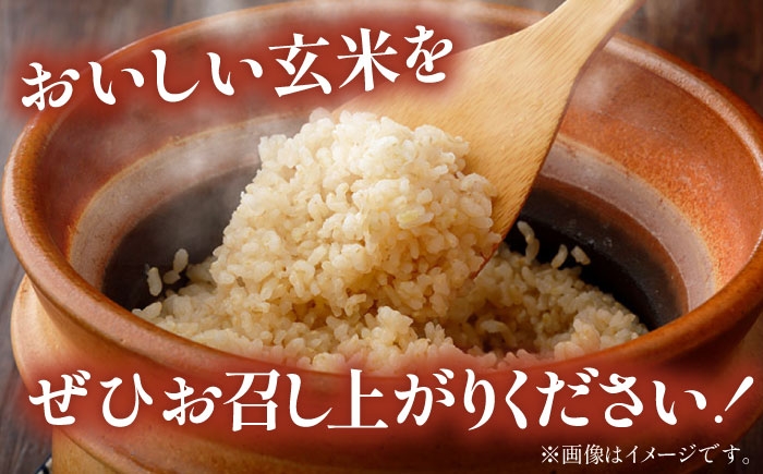 令和8年産 10kg 米 コメ 玄米 数量限定 期間限定 先行予約 コシヒカリ ブランド米 人気