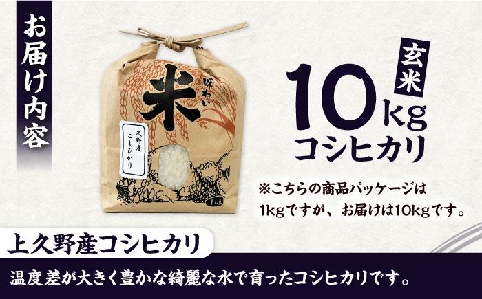 令和8年産 10kg 米 コメ 玄米 数量限定 期間限定 先行予約 コシヒカリ ブランド米 人気