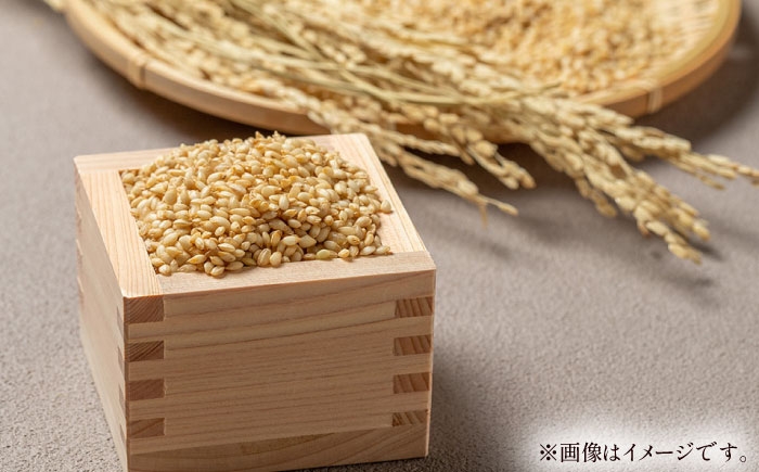 令和8年産 10kg 米 コメ 玄米 数量限定 期間限定 先行予約 コシヒカリ ブランド米 人気