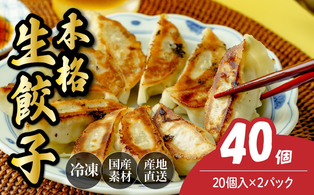 餃子 冷凍餃子 大量 大容量 ギョウザ ギョーザ 冷凍ギョウザ 冷凍 冷凍ぎょうざ ぎょうざ ぎょーざ 食べ比べ 美味しい