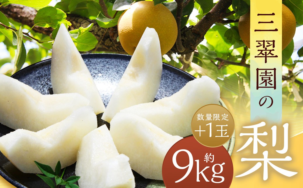【数量限定】三翠園の梨 9.0kg+1玉
