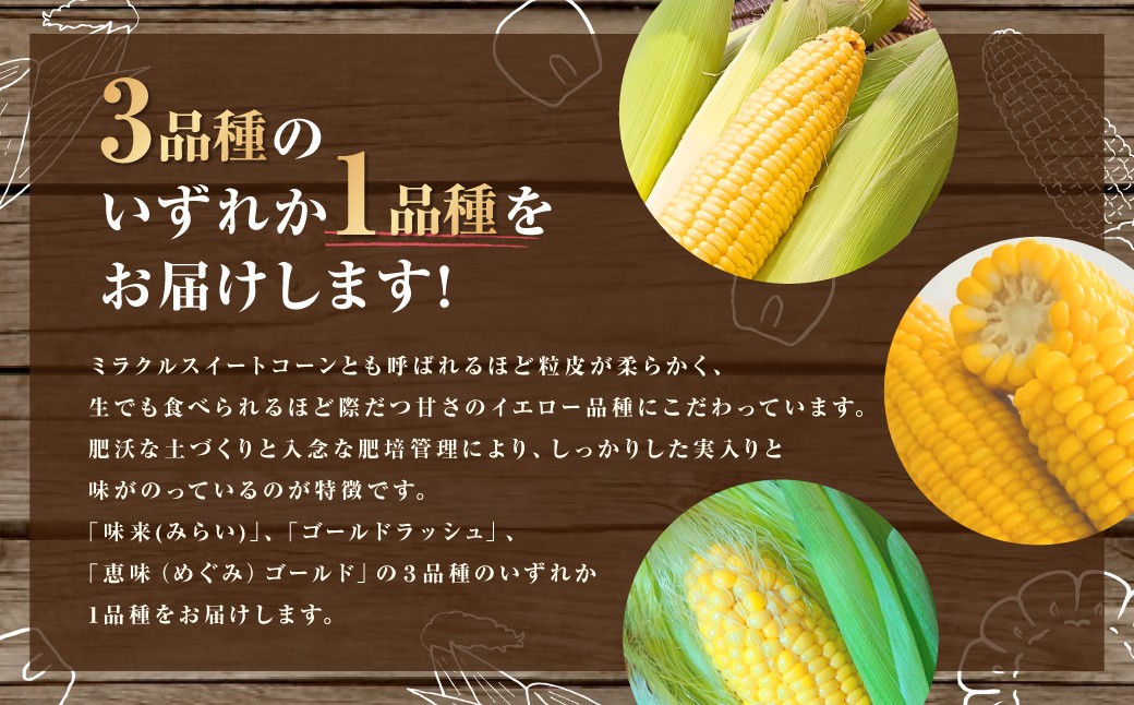 とうもろこし イエロー 約5kg