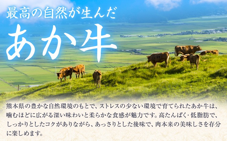 熊本県産 和牛 くまもとあか牛 ロースブロック 計2kg（1kg×2）