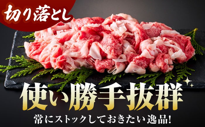 佐賀牛 A5 牛丼 切落とし 切り落し 牛肉 和牛 黒毛和牛 小分け 冷凍 きりおとし 佐賀  6ヶ月 6回 定期
