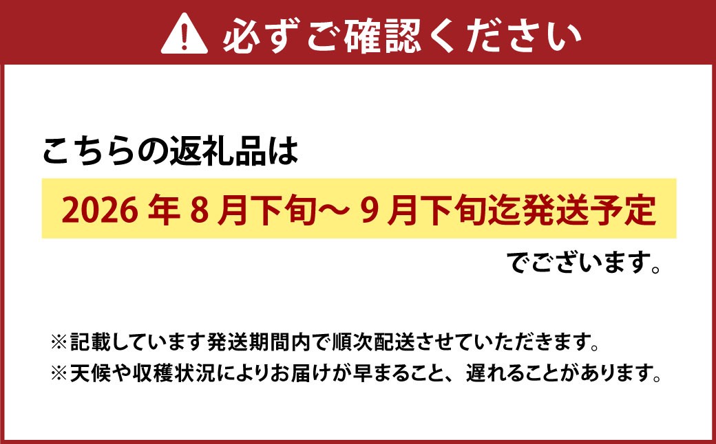 オーロラブラック 2房(1房480g以上) 化粧箱入り