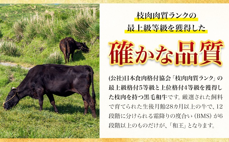 熊本県産 黒毛和牛 サーロイン ステーキ 計1kg（250g×4）国産 牛肉