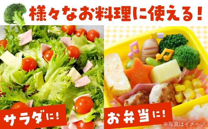 ブロッコリー ぶろっこりー 野菜 やさい 小分け 冷凍 国産