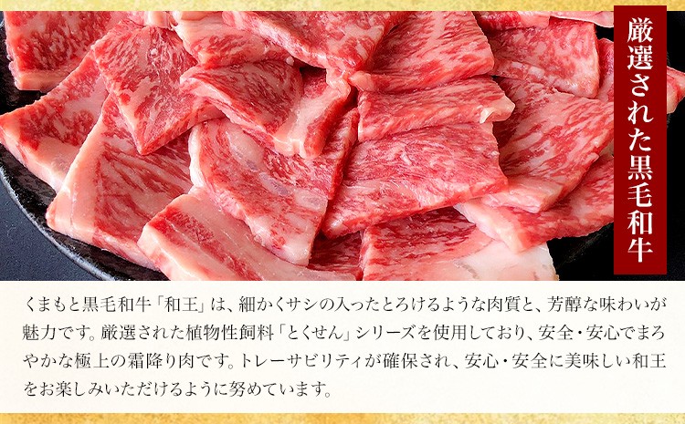 熊本県産 黒毛和牛 サーロイン ステーキ 計1kg（250g×4）国産 牛肉