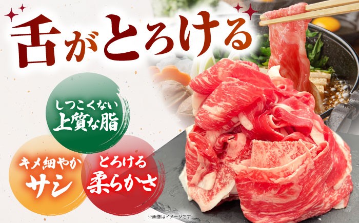 佐賀牛 A5 牛丼 切落とし 切り落し 牛肉 和牛 黒毛和牛 小分け 冷凍 きりおとし 佐賀  6ヶ月 6回 定期