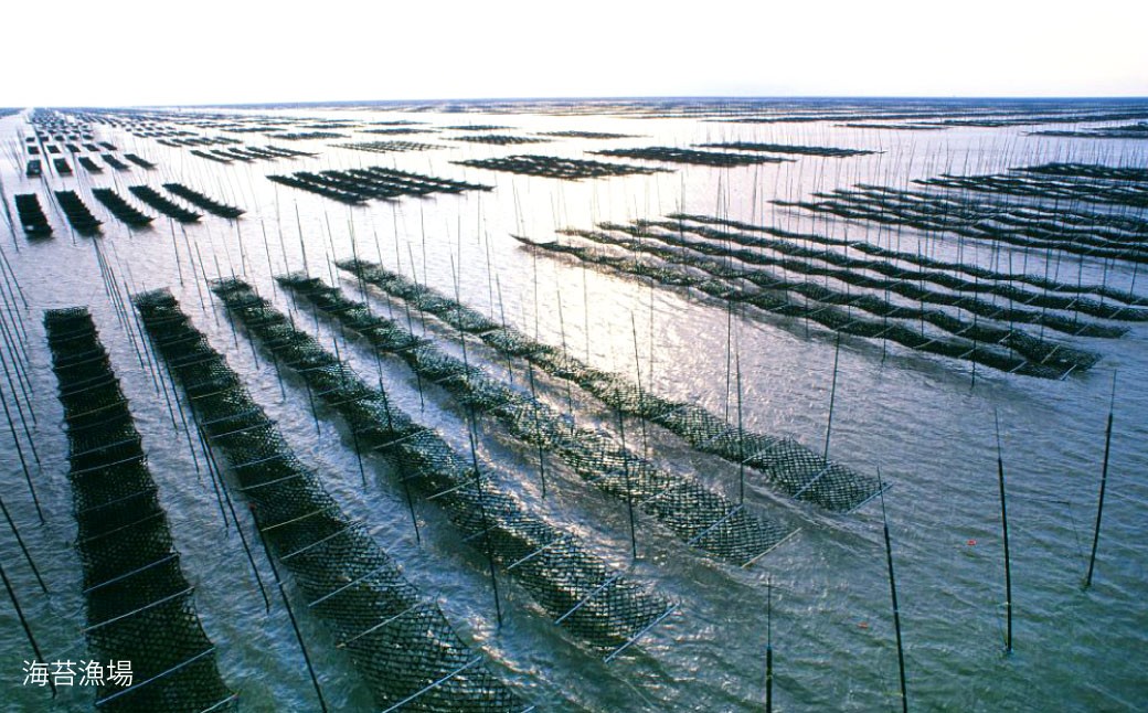 海王 一番摘み焼海苔 5枚入×7袋 計35枚