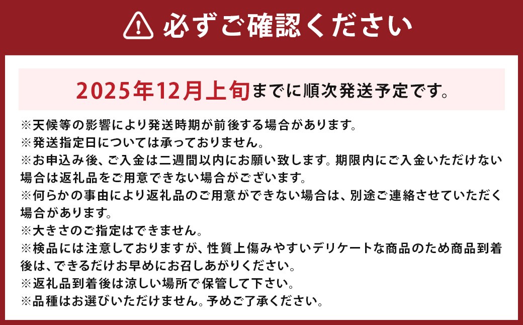 【数量限定】三翠園の梨 9.0kg+1玉