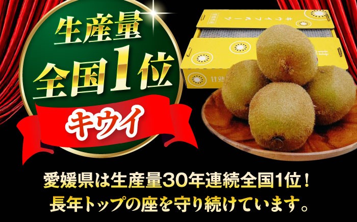 キウイ フルーツ 果物 スムージー おやつ ジュース キウイフルーツ 手作りスイーツ デザート  美容 健康 愛媛キウイ 大洲市